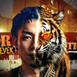 CzTIGERの2ndアルバム『FOR WHATEVER』アートワーク。顔の半分が虎になったビジュアル