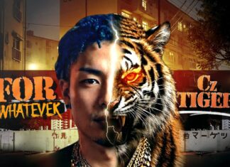 CzTIGERの2ndアルバム『FOR WHATEVER』アートワーク。顔の半分が虎になったビジュアル